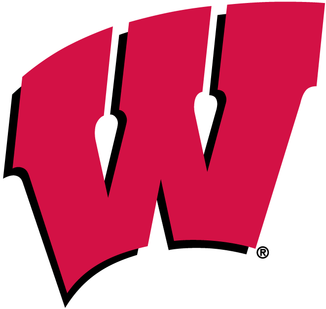 Wisconsin Badgers 1991-Pres Primary Logo decal supplier